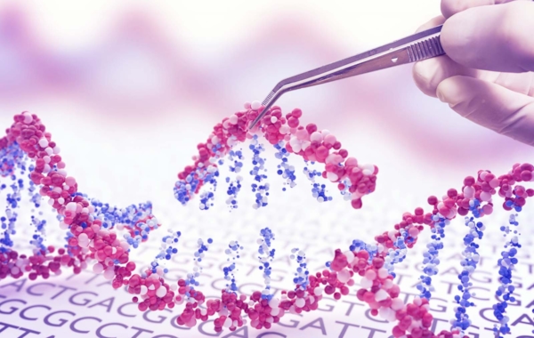 CRISPR-Based Gene Editing Technique Can Insert Entire Genes Into Cells