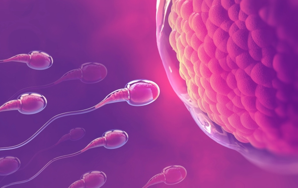 Pre-implantation genetic testing for IVF added to Medicare, Verzenio use expanded under PBS